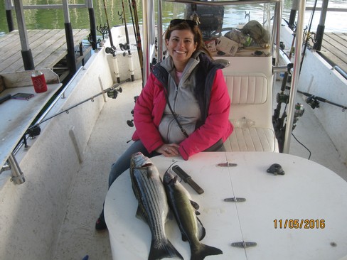 Nice Striped Bass